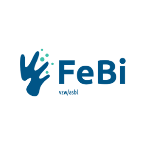 FeBi_Square_300 FeBi